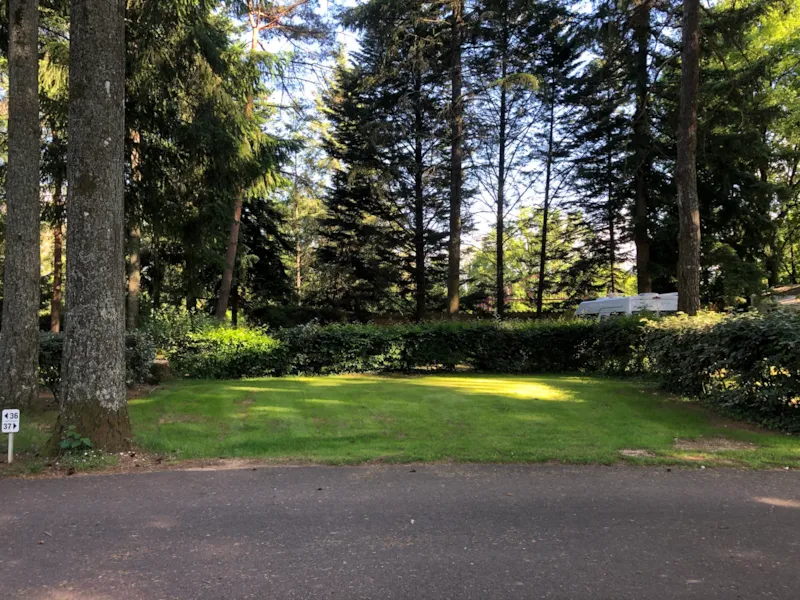 Emplacement Confort 80M² - 10A