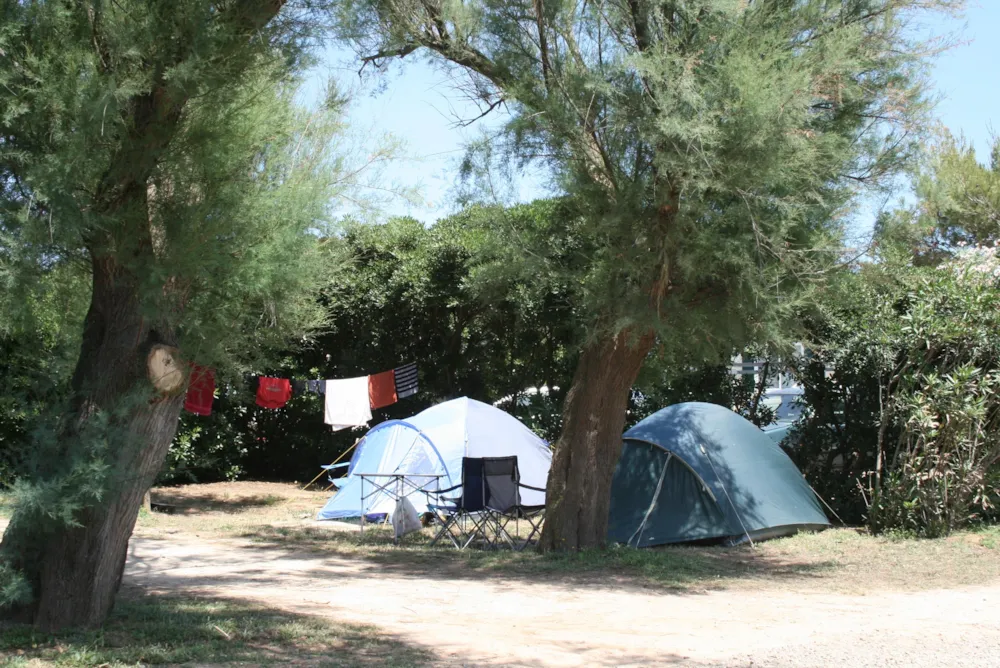 Standplaats, 1 auto, tent, caravan of camper