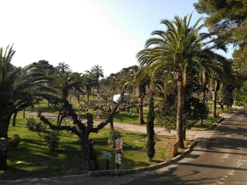 Camping La Torre del Sol photo 4