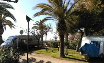 Stellplatz - Stellplatz 'Gran Confort' 100 M²+ 6A+Fahrzeug+Abwasser-/ Fließwasseranschluss  (Wohnwagen Max. 7.50) - Camping La Torre del Sol