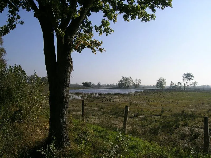 Arden Parks Baalse Hei