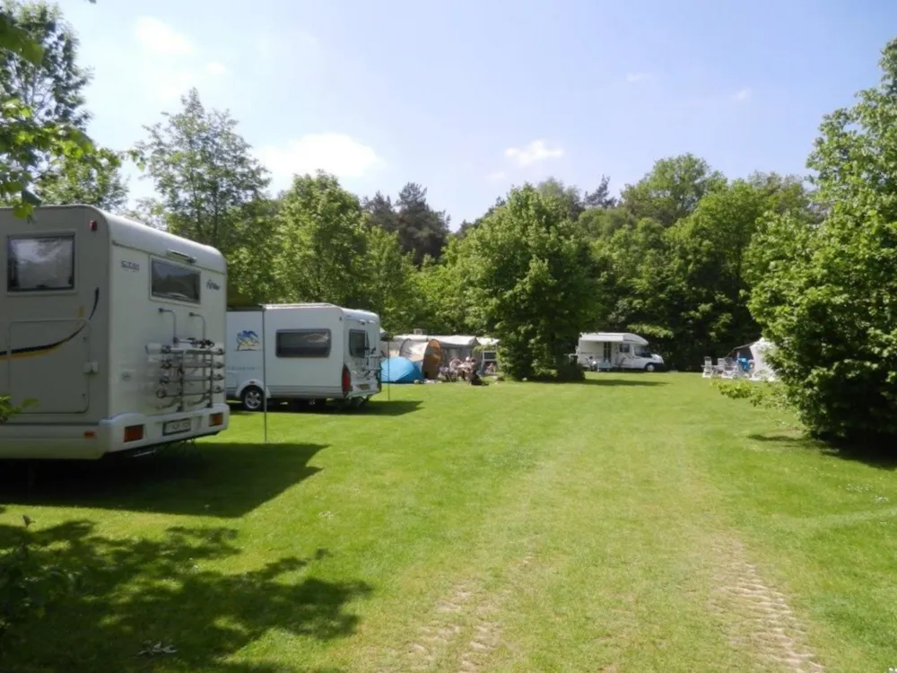 Emplacement - Camperplaats - Arden Parks Baalse Hei