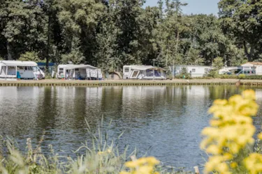 Berkenstrand - image n°3 - Camping Direct