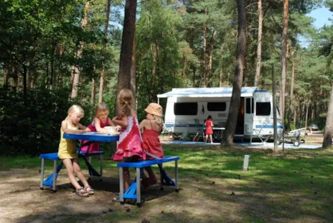 De Lilse Bergen Campsite