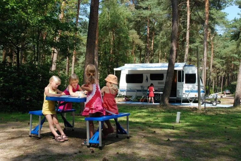 De Lilse Bergen - image n°5 - Camping Direct