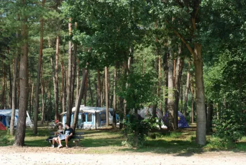 De Lilse Bergen Campsite