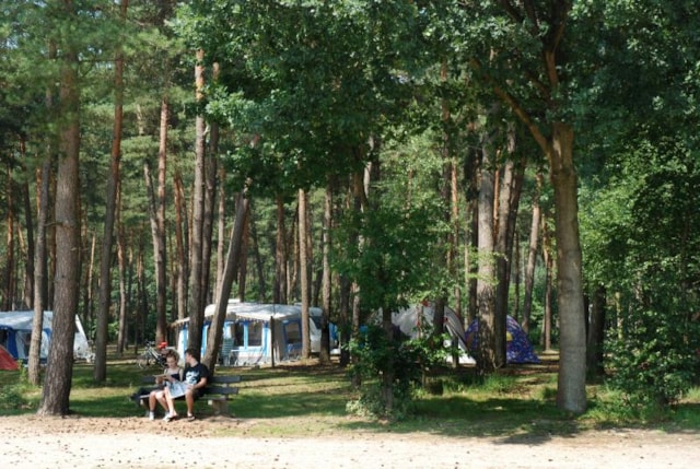 Camping De Lilse Bergen