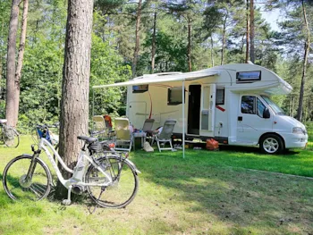 Stellplatz - Stellplatz Wohnwagen L - De Lilse Bergen