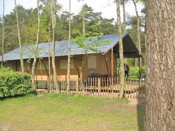 Mietunterkunft - Safari-Zelt - De Lilse Bergen