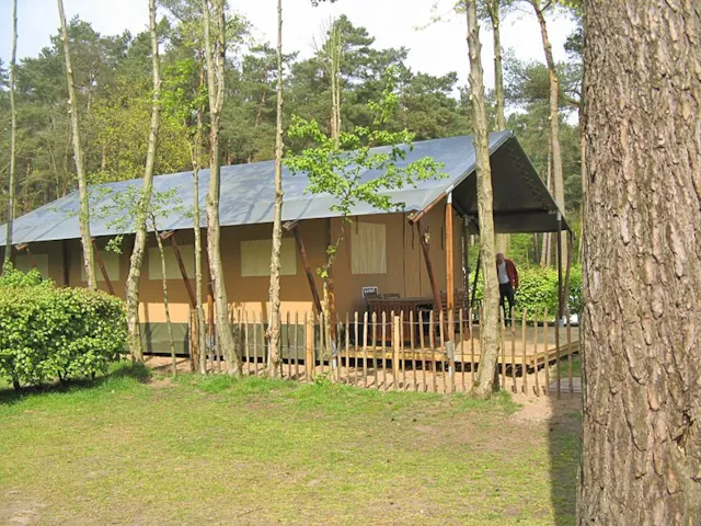 Safari tent
