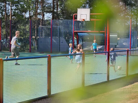 De Lilse Bergen Campsite