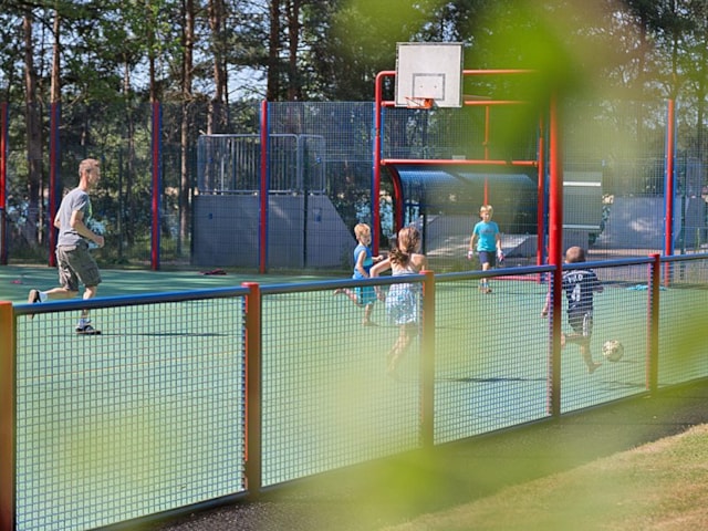 Camping De Lilse Bergen