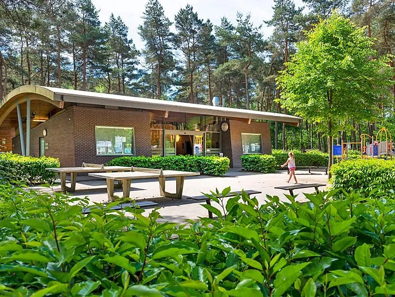 De Lilse Bergen Campsite