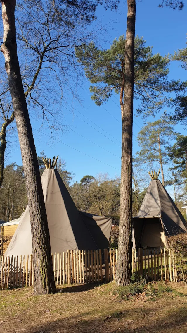 Tipi Duo