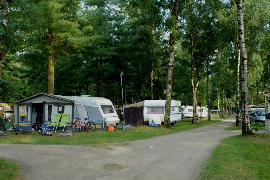 Emplacement - Emplacement - Camping Floreal Het Veen