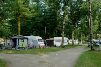 Pitch - Pitch - Camping Floreal Het Veen