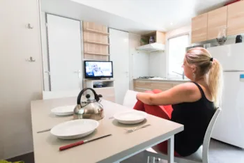 Accommodation - Luxurious Mobile-Home - Camping Floreal Het Veen