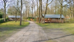 Camping Floreal Het Veen - image n°4 - Roulottes