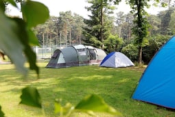Stellplatz - Kleines Zelt - Camping Floreal Kempen