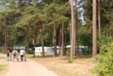 Foto #4 van Camping Floreal Kempen
