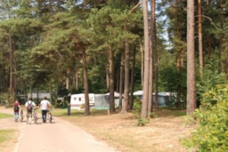 Camping Floreal Kempen - image n°4 - Roulottes