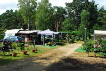 Pitch - Pitch 100M2, Grass And Sand Und Internet Connection - Camping Floreal Kempen