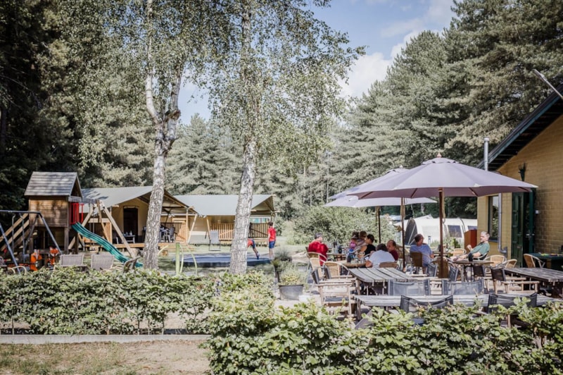 Camping Siesta - Camping - Lille