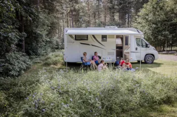 Stellplatz - Stellplatz + Wohnmobil - Camping Siesta 