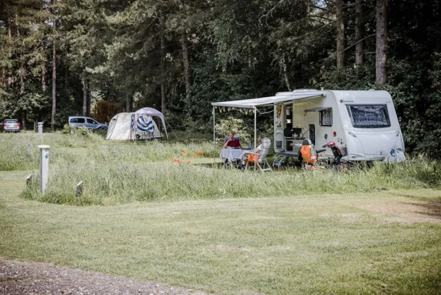 Pitch + tent or caravan