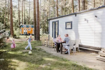 Mietunterkunft - Lijster - Camping Siesta 