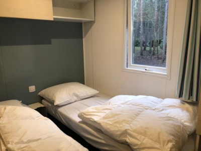 Roodborstje — 5