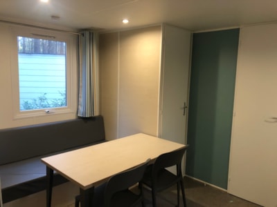 Vlaamse Gaai — 4