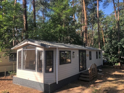 Koperwiek — 1