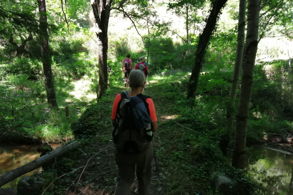 CAMPING LES CHATAIGNIERS