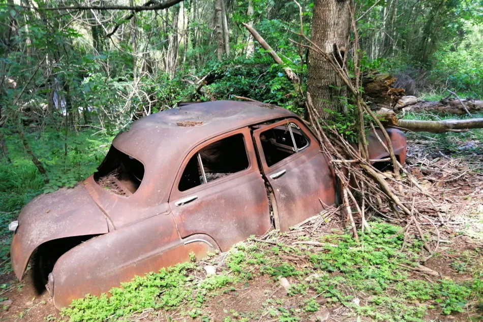 CAMPING LES CHATAIGNIERS