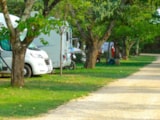 Foto #6 van Camping des Gorges