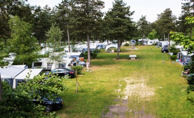 Pitch incl. electricity