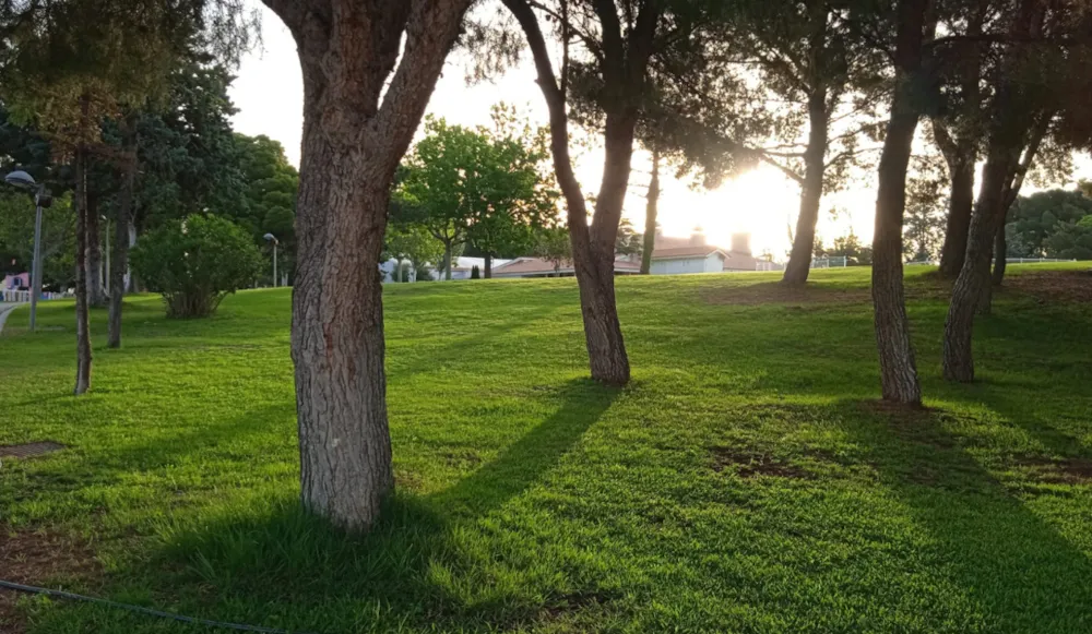 Zaragoza Camping