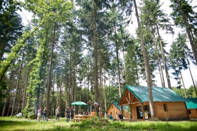 Cabin
