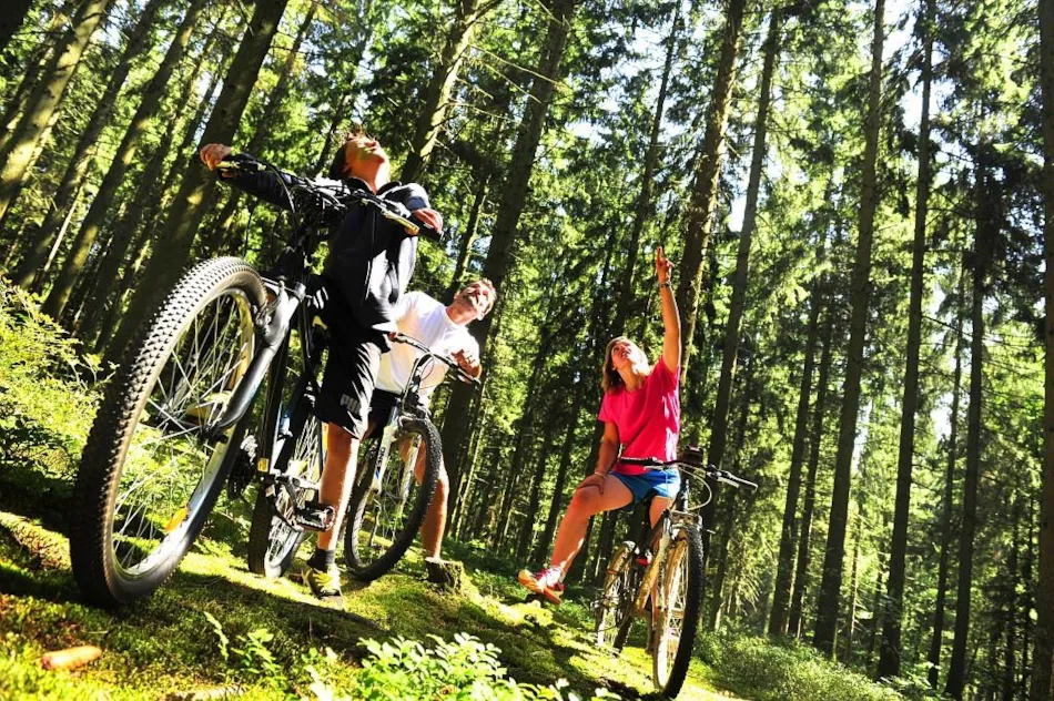 Homair-Marvilla - Lac des Vieilles Forges