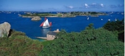 Sites et Paysages Camping le Neptune - image n°53 - UniversalBooking