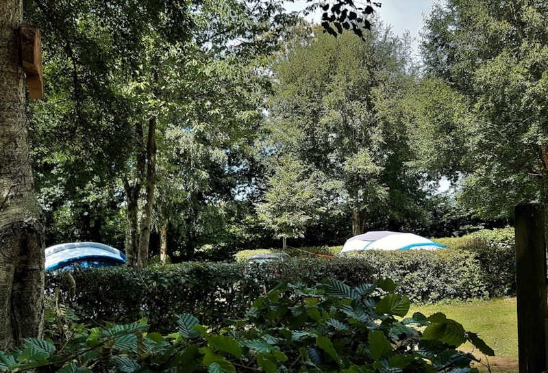 NATUUR CAMPINGPLAATS, pakket (standplaats, zonder elektriciteit)