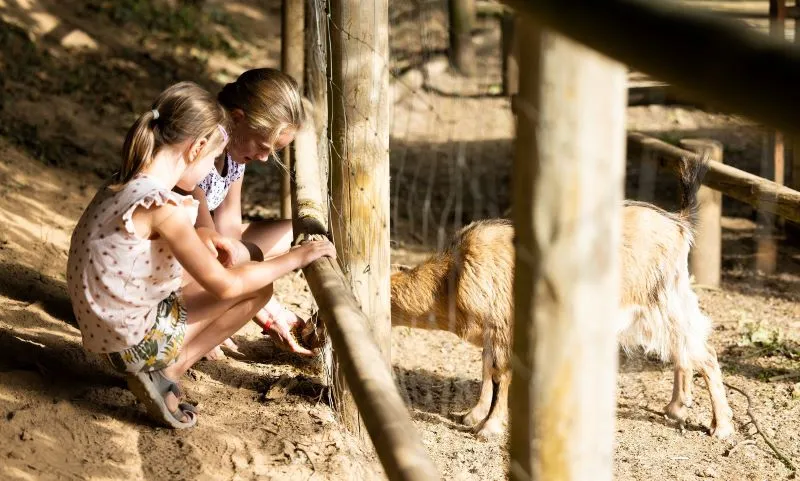SARL Camping le Neptune - image n°4 - UniversalBooking