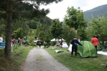 Stellplatz - Halbe Stellplatz (Inklusive 1 Kleines Zelt) - Camping Tunnel International