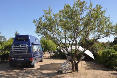 Pitch + car + tent or caravan + electricity 10A