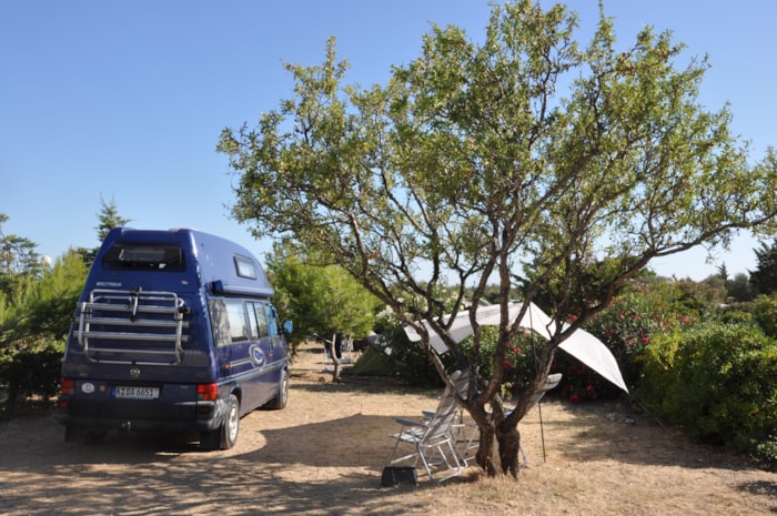 Emplacement Nu + 1 Véhicule + Tente Ou Caravane + Électricité 10A