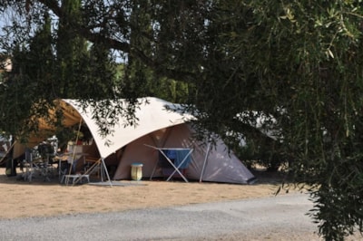 Pitch + car + tent or caravan + electricity 10A