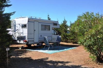 Pitch + car + tent or caravan + electricity 10A