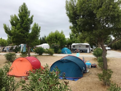 Pitch + car + tent or caravan + electricity 10A