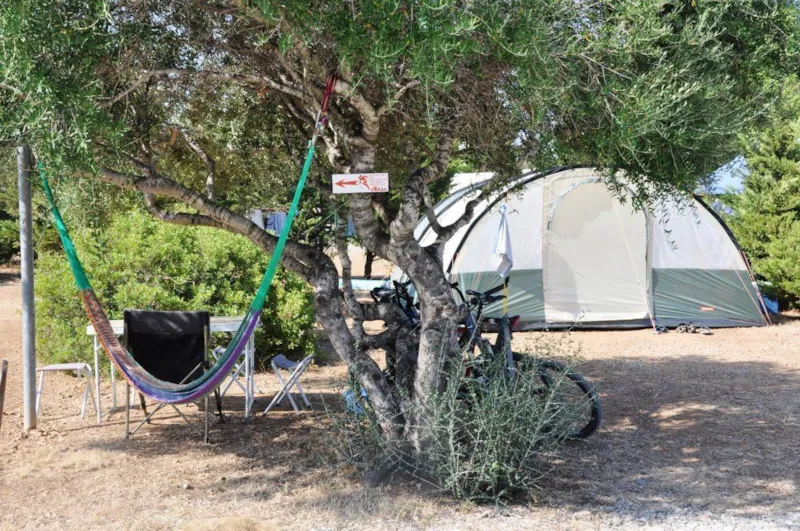 Emplacement Nu + 1 Véhicule + Tente Ou Caravane + Électricité 10A